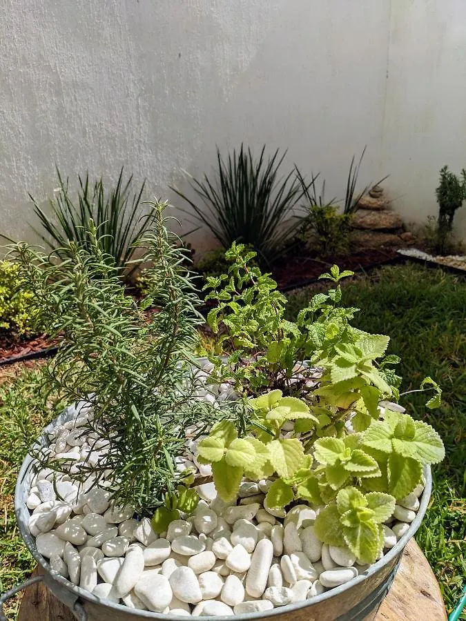 Casita Rooftop Cancun